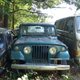 Illustration for article titled A Michigan Town Is Forcing This Man To Sell 20 Old Cars Off His Property Every Month